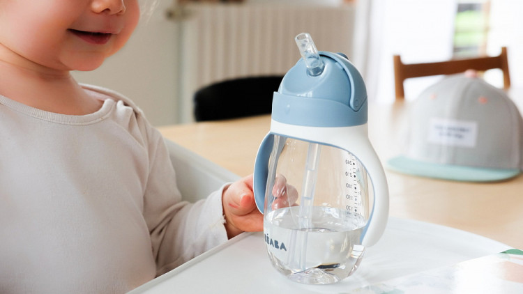 Поильник-бутылочка Beaba Straw Cup 300 мл 913479 WINDY BLUE