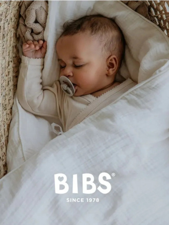 Пустышка латексная Bibs De Lux, 0+ 1110250 Sage Пустышка латексная Bibs De Lux, 0+ 1110250 Sage