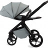 Детская коляска Peppy Monaco Plus 4 в 1 с автокреслом Welldon Crown 2 Beige и базой Mint (мятный), рама черная