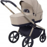 Детская коляска Rant Flex Therm Soft 4 в 1 с автокреслом Evomax Grey и базой Sandy Beige