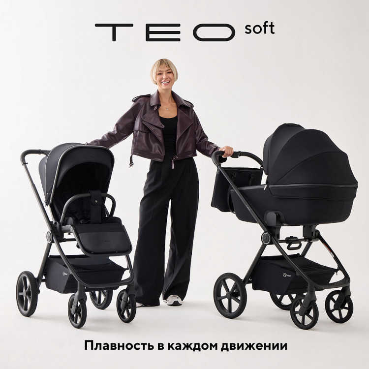 Детская коляска Rant Teo Soft 3 в 1 с автокреслом Carry Pro Graphite Black