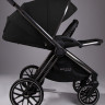 Детская коляска AmaroBaby Motus Premium Ecco 2 в 1 черный