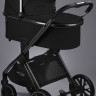 Детская коляска AmaroBaby Motus Premium Ecco 2 в 1 черный