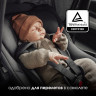 Детская коляска 4 в 1 Joolz Day 5 и автокресло Baby-Safe Core Midnight Grey и база Vario Base 5Z Forest Green Детская коляска 4 в 1 Joolz Day 5 и автокресло Baby-Safe Core Midnight Grey и база Vario Base 5Z Forest Green