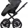Детская коляска Riko Basic Montana X Ecco Prestige 2 в 1 12 Black (черный) Детская коляска Riko Basic Montana X Ecco Prestige 2 в 1 12 Black (черный)