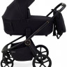 Детская коляска Rant Flex Therm Soft 3 в 1 с автокреслом Evomax Grey Gold Black