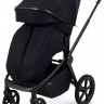 Детская коляска Rant Flex Therm Soft 3 в 1 с автокреслом Evomax Grey Gold Black