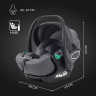 Детская коляска Rant Flex Therm Soft 3 в 1 с автокреслом Evomax Grey Gold Black