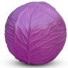 Мяч Oli&Carol Baby Ball из натурального каучука L-BALL-PURPLE-CABBAGE